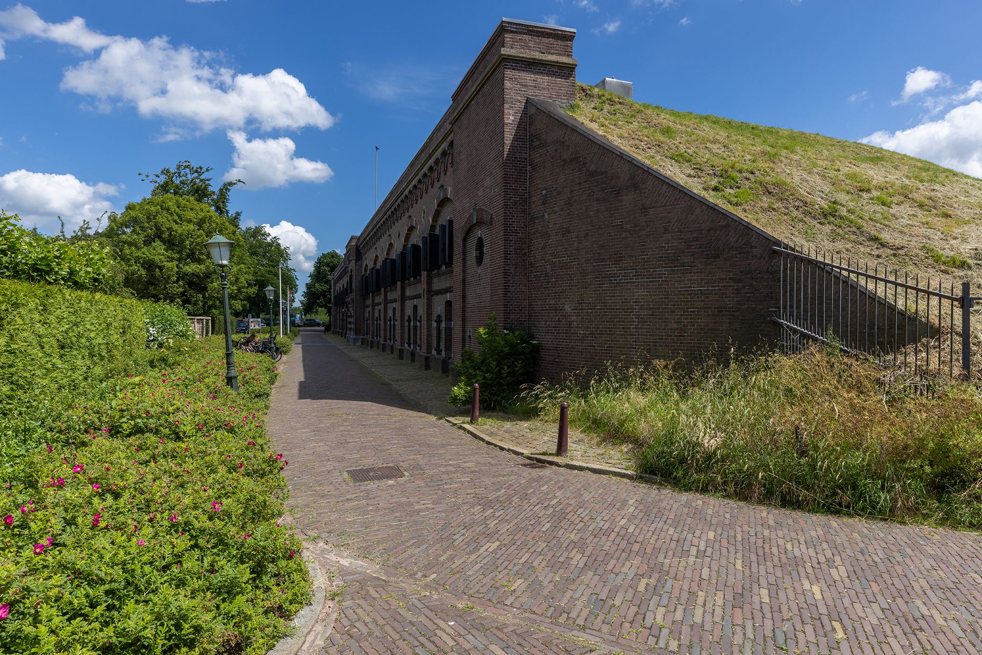 Foto 54 van de Lelie 3