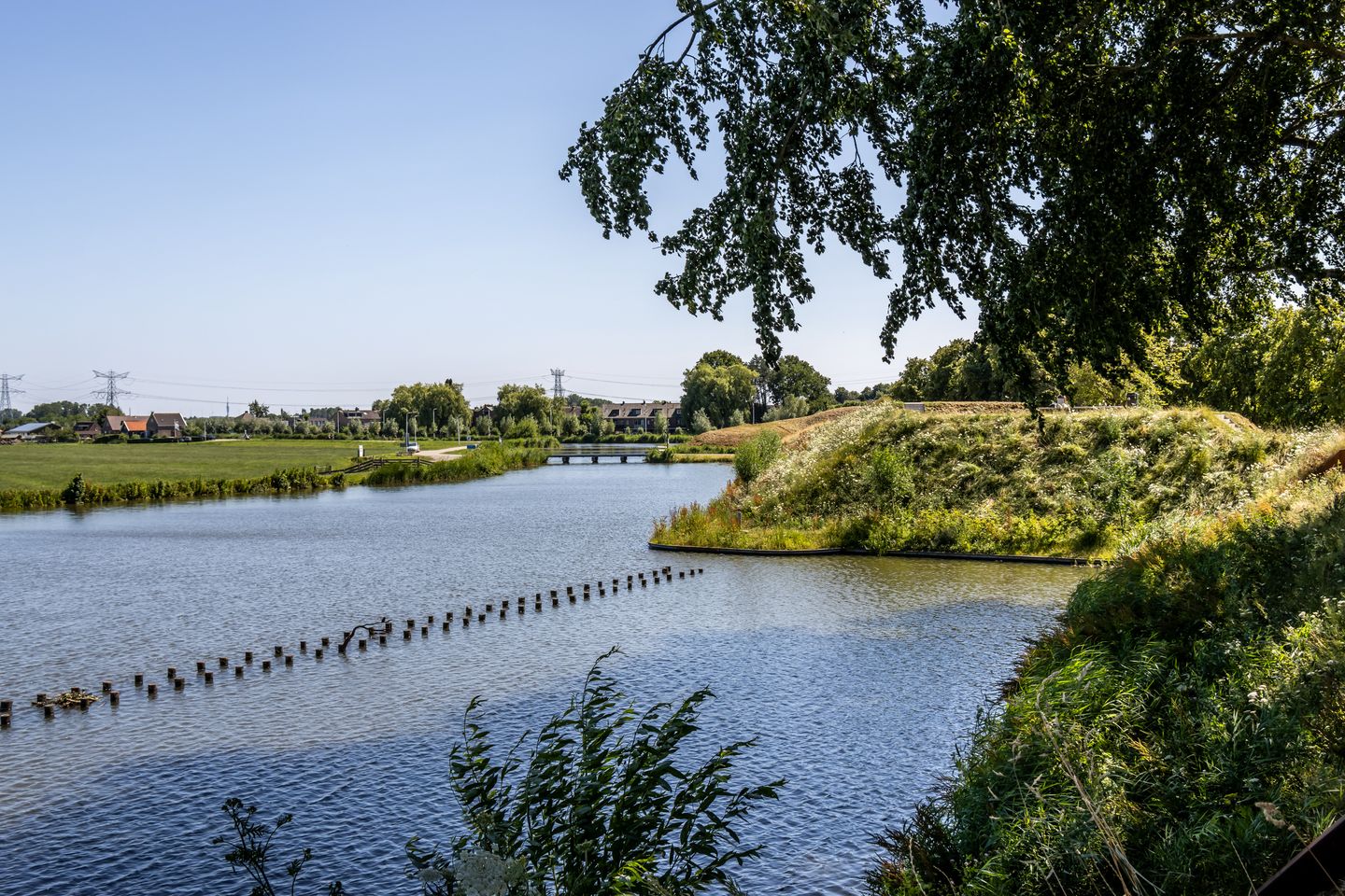 Foto 55 van de Lelie 3