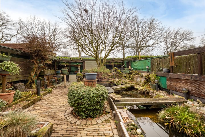 Foto 30 van Moriaansdreef 36