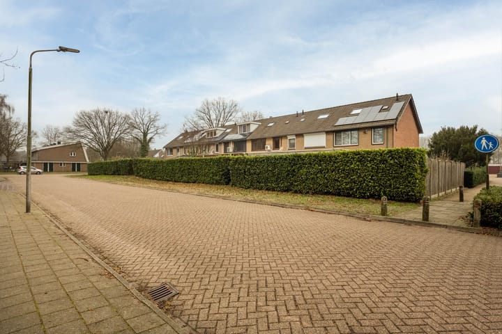 Foto 35 van Moriaansdreef 36