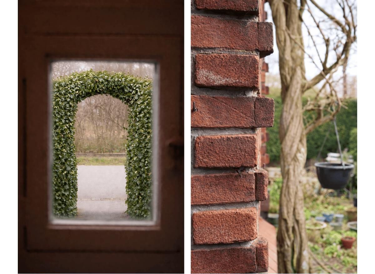 Foto 5 van Wandeling 13