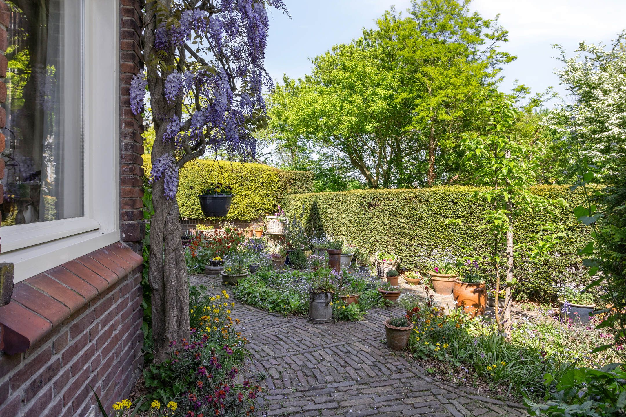 Foto 6 van Wandeling 13