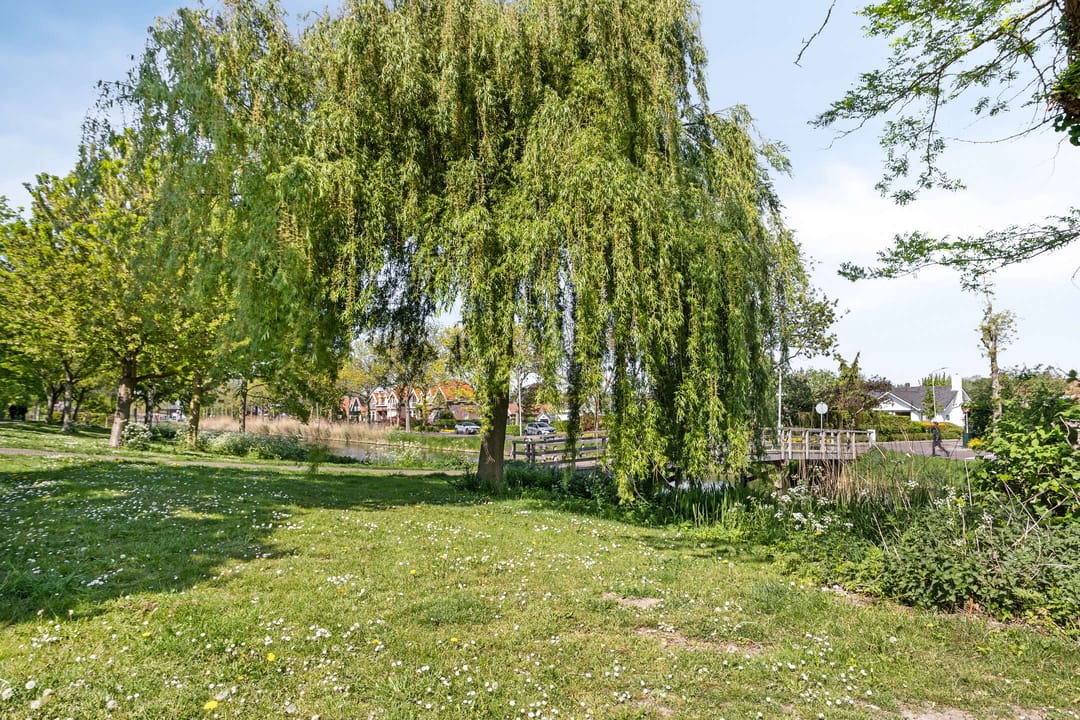 Foto 38 van Wandeling 13