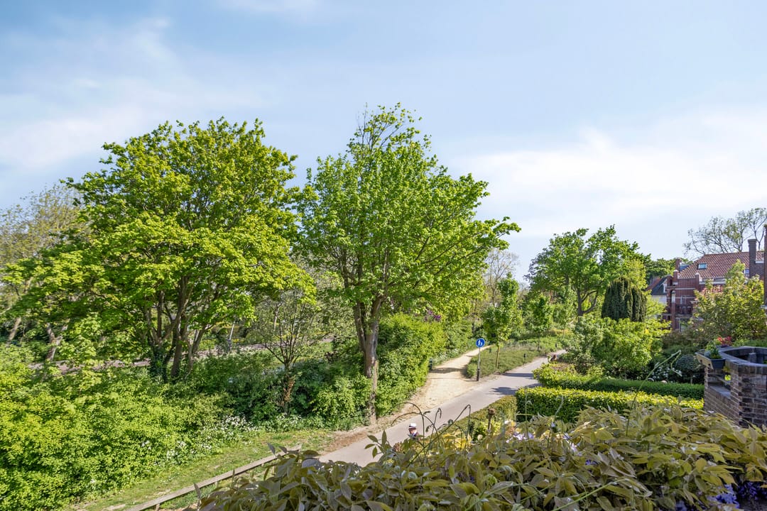 Foto 2 van Wandeling 13