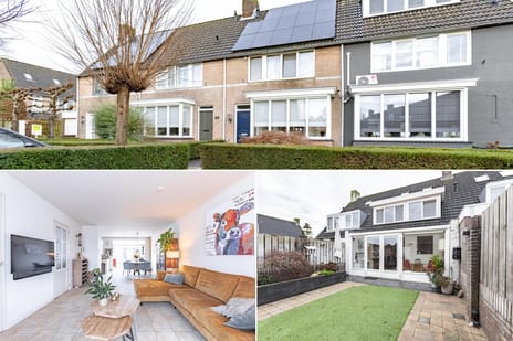 undefined main image