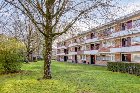 Van der Waalsstraat thumbnail