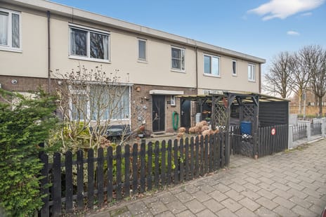 undefined main image