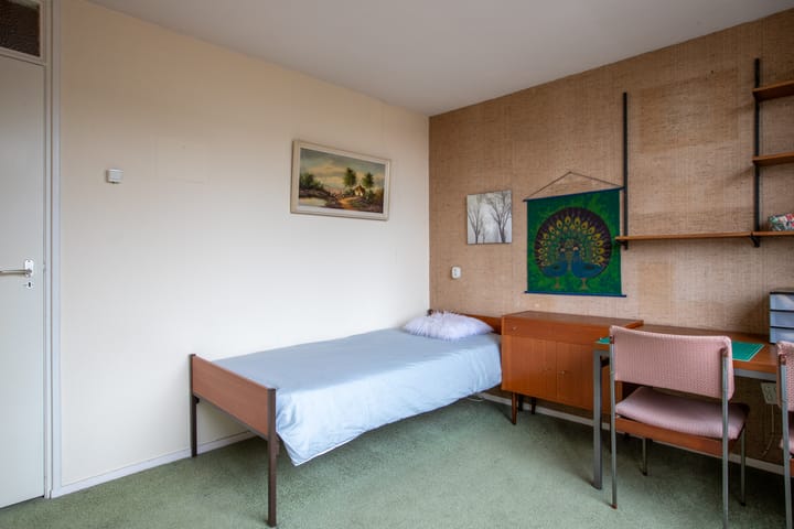 Foto 24 van Van Heuven Goedhartstraat 61