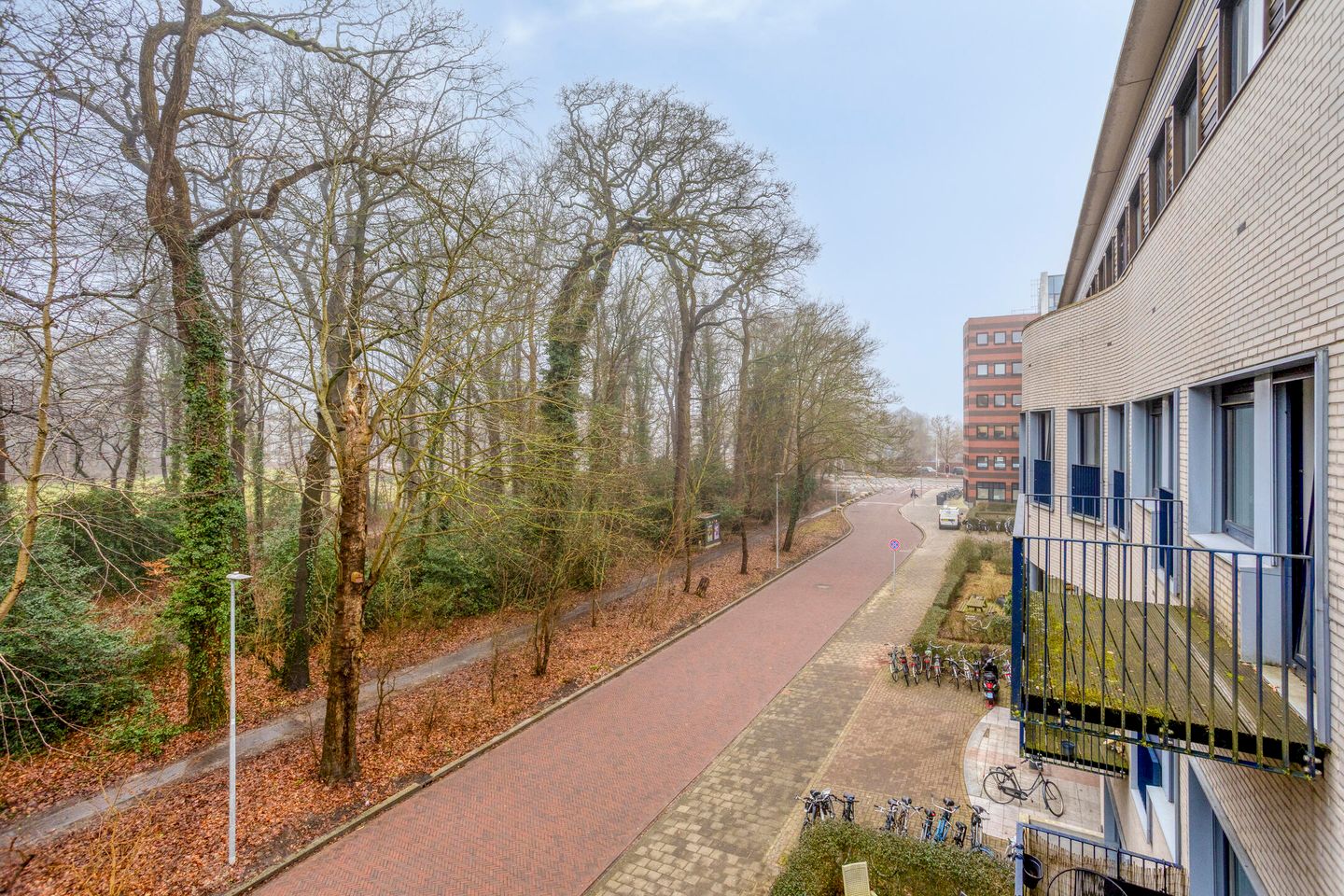 Foto 4 van Waterloolaan 1-51