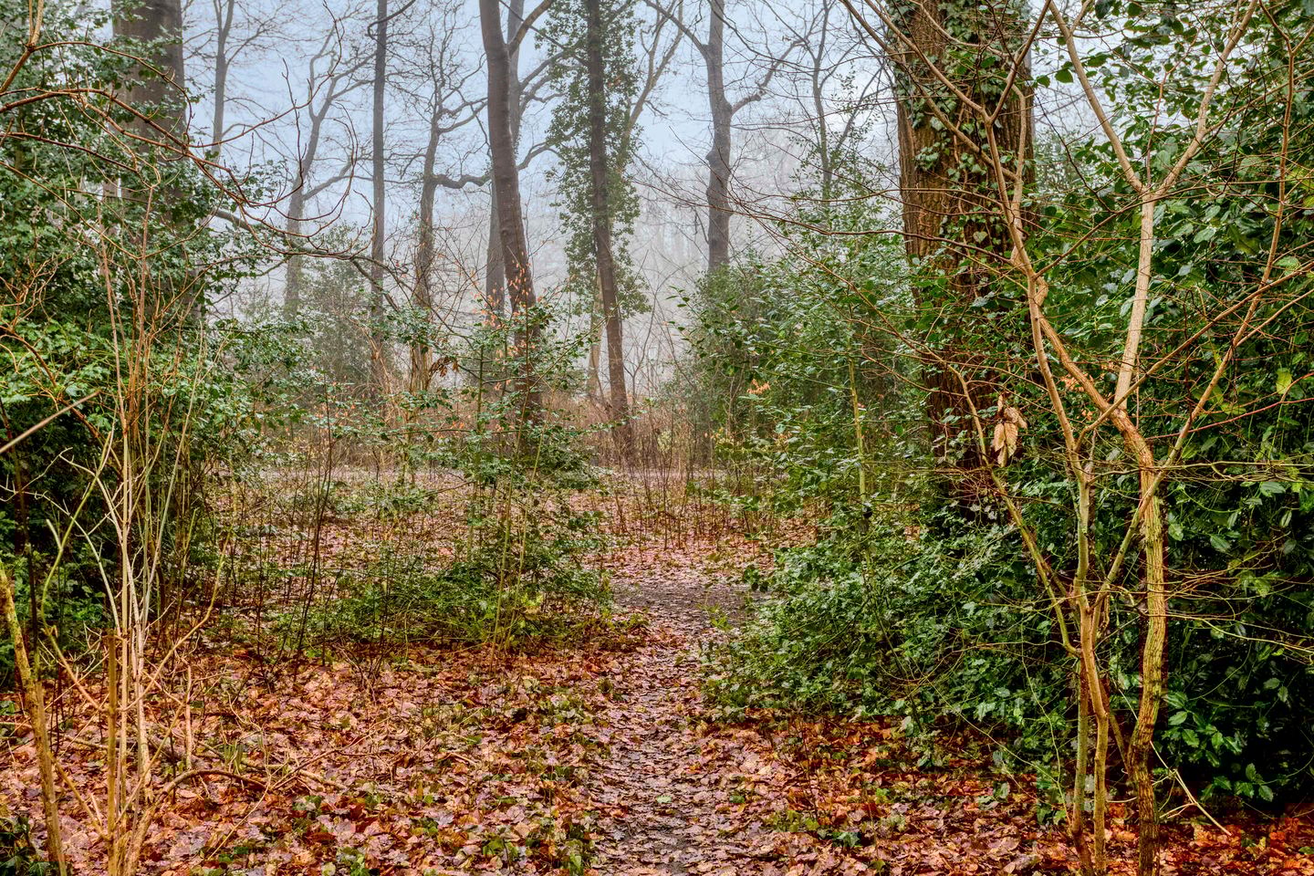 Foto 35 van Waterloolaan 1-51