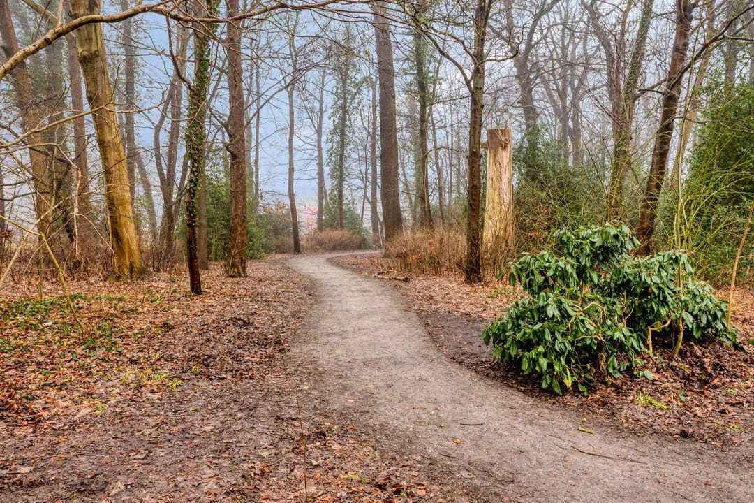 Foto 37 van Waterloolaan 1-51