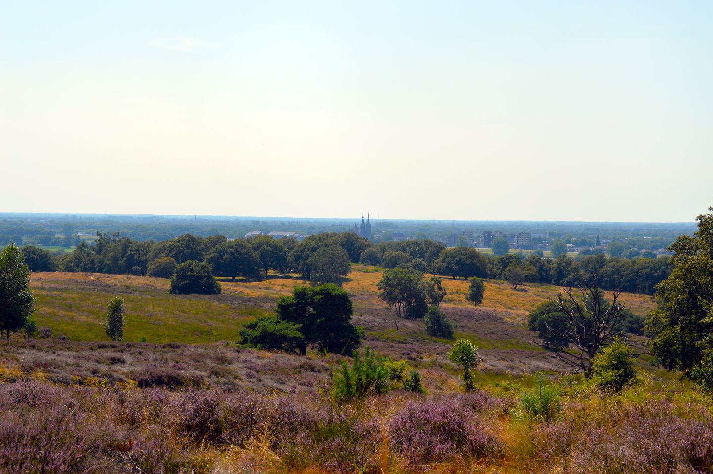 Foto 35 van Rijksweg 173