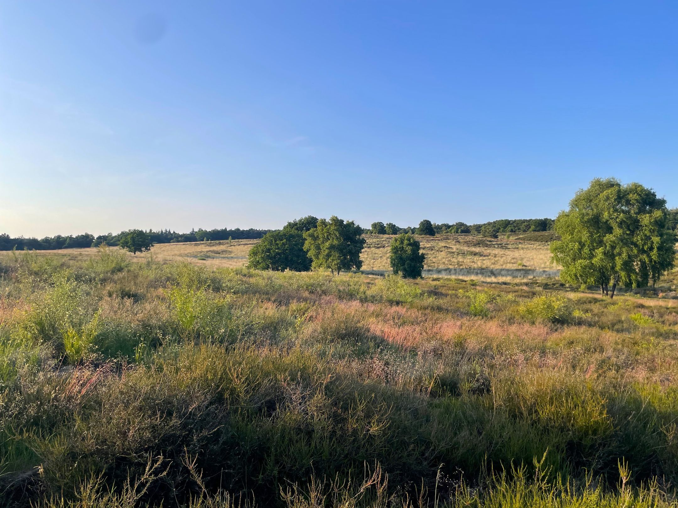 Foto 36 van Rijksweg 173