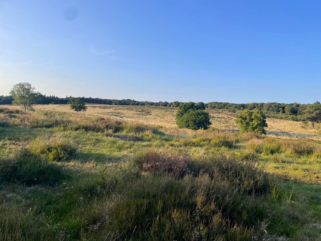 Foto 37 van Rijksweg 173