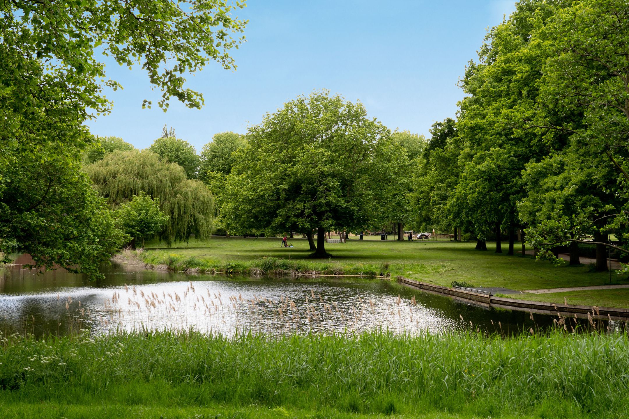 Foto 33 van Grianestraat 18-2