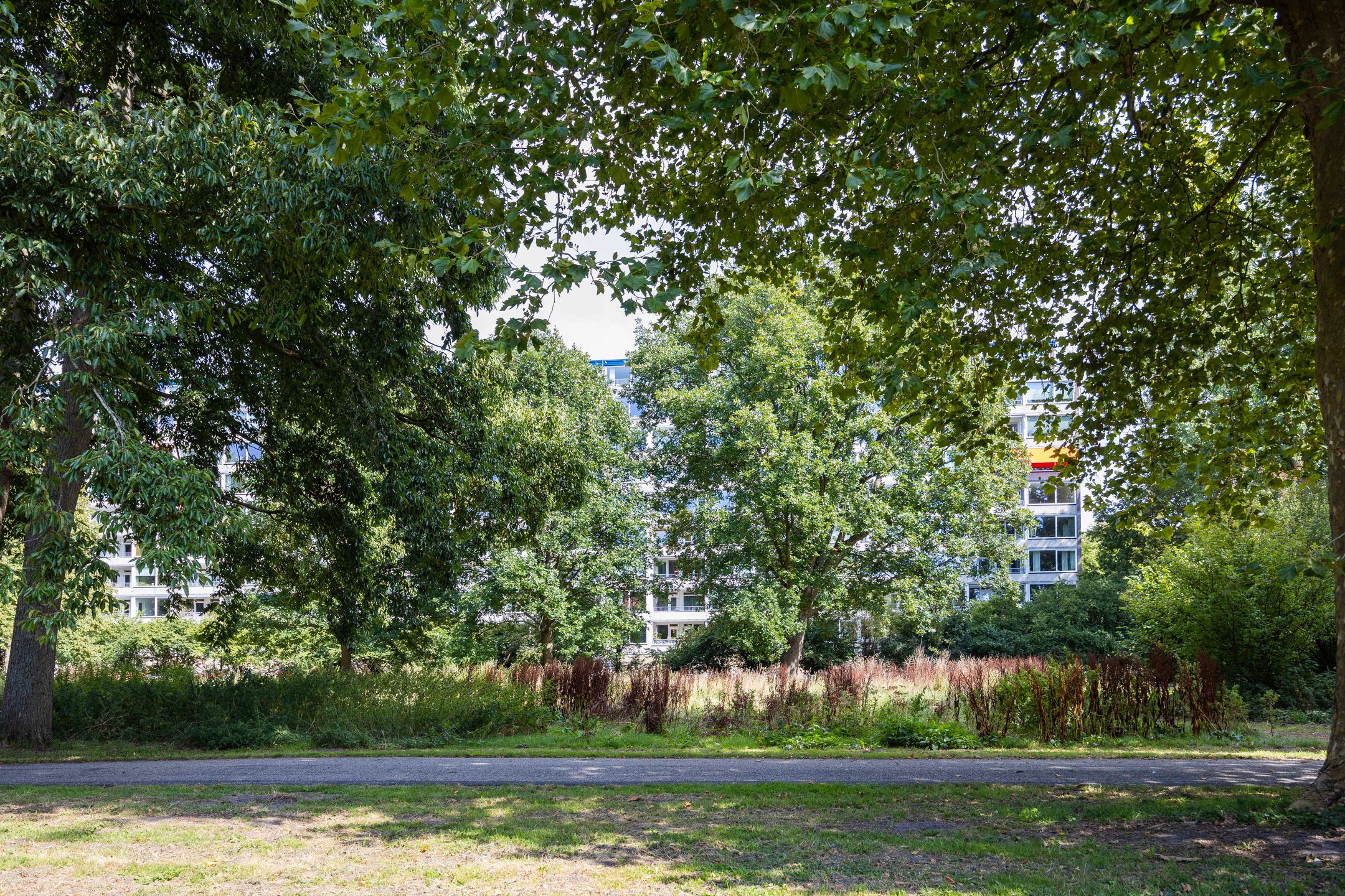 Photo 27 of Engelandlaan 224