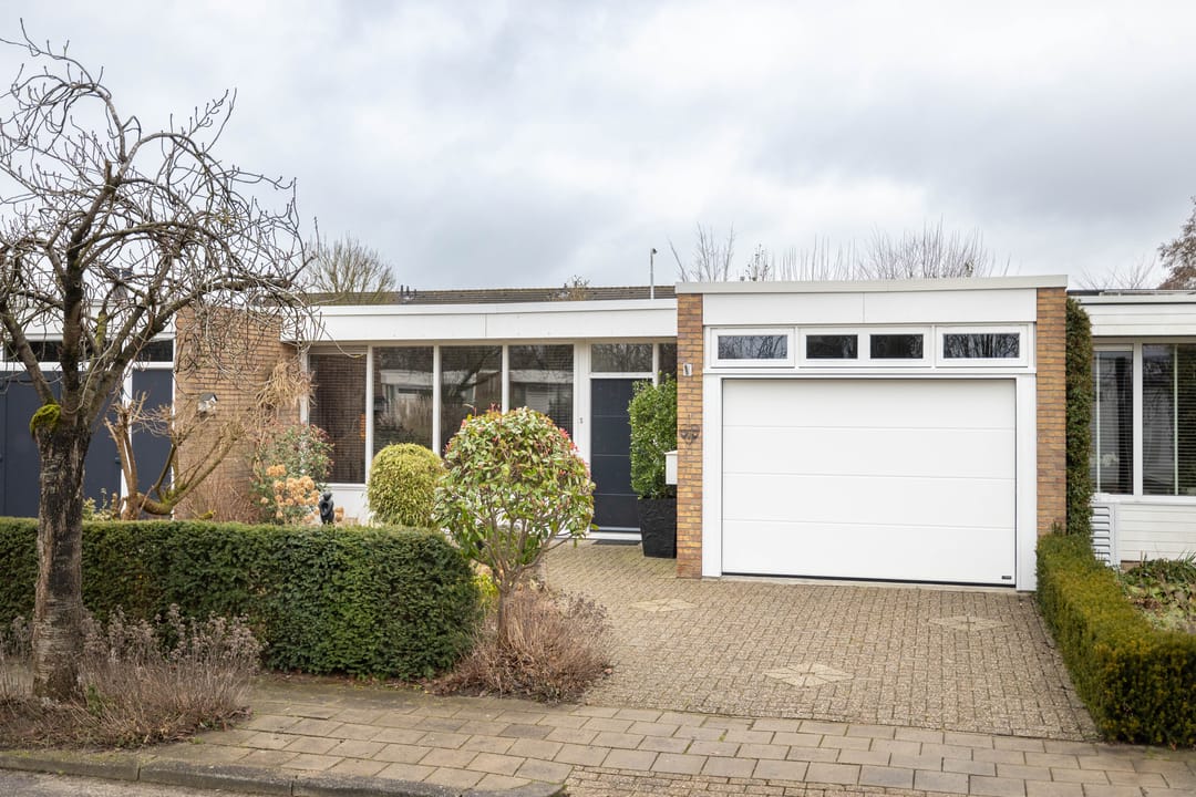 Foto 1 van Borg Piloursema 5