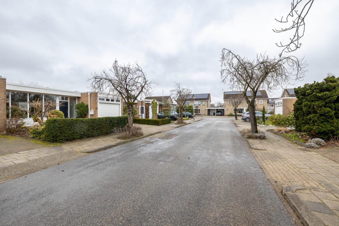 Foto 26 van Borg Piloursema 5