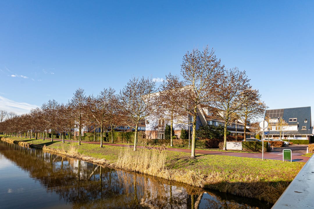 Foto 7 van Wollegras 40