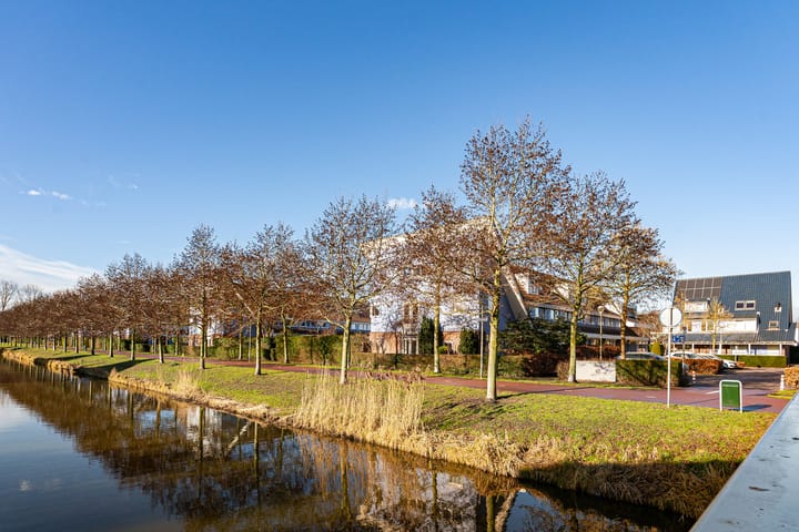 Photo 7 of Wollegras 40