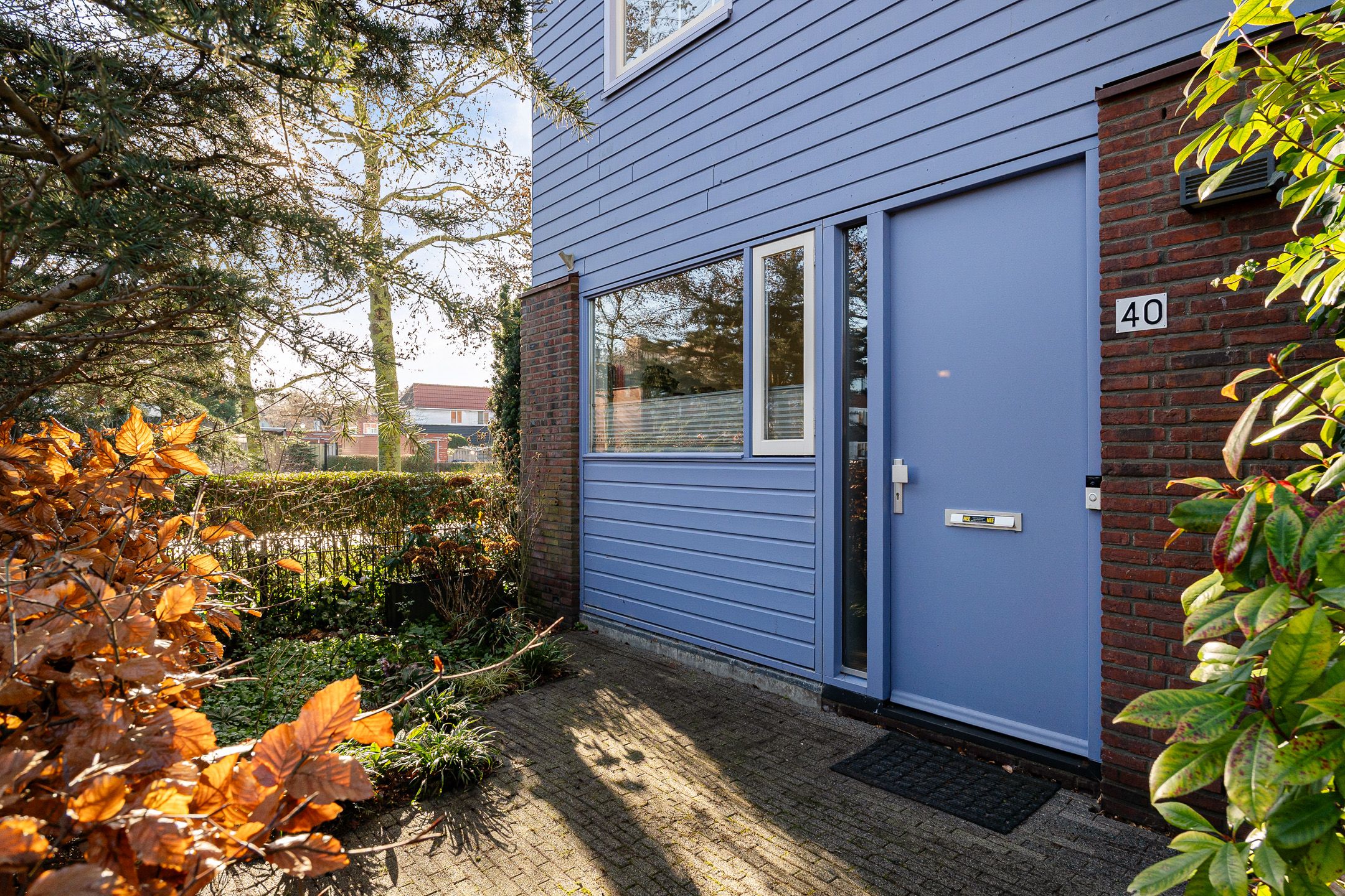 Foto 9 van Wollegras 40