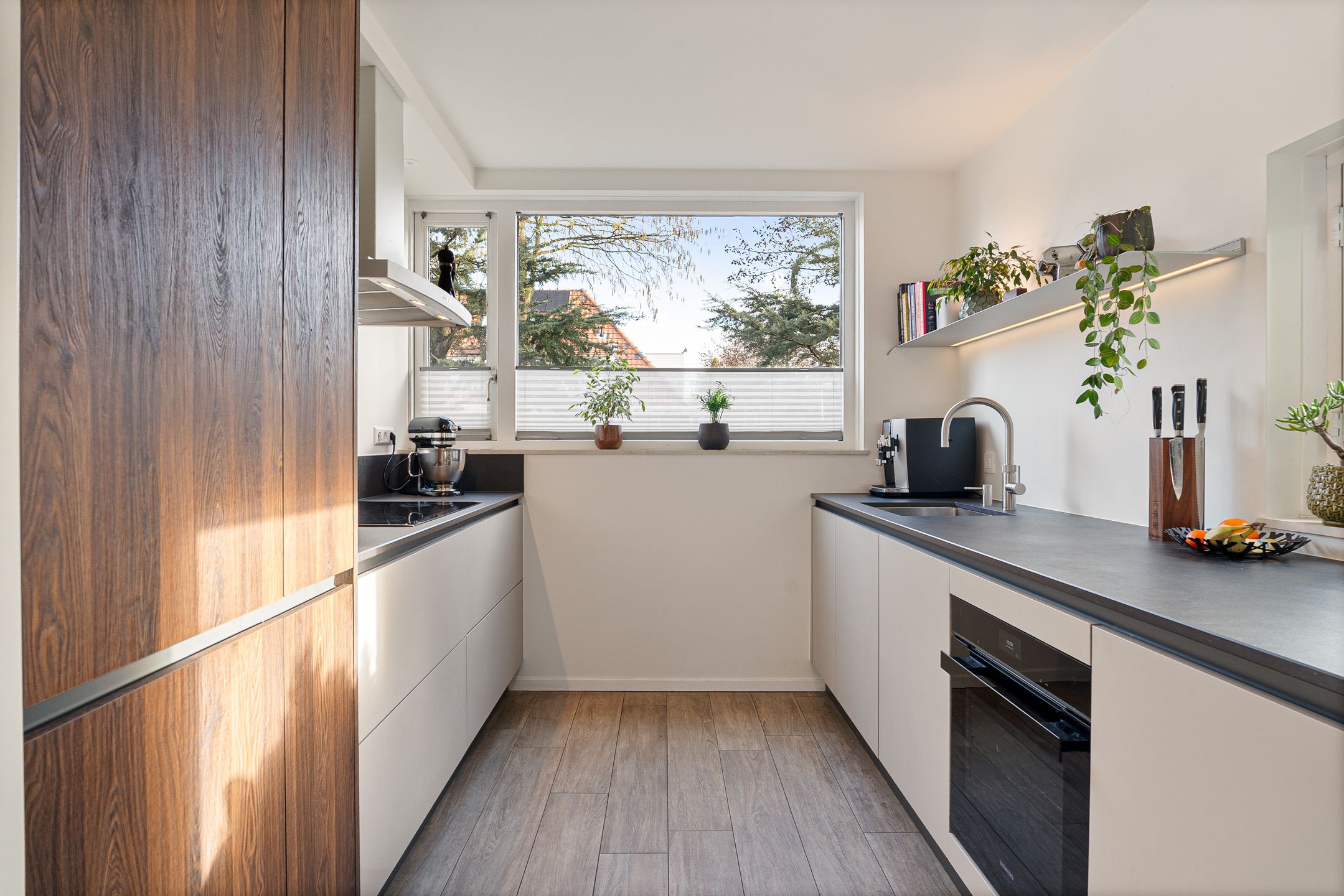 Foto 18 van Wollegras 40