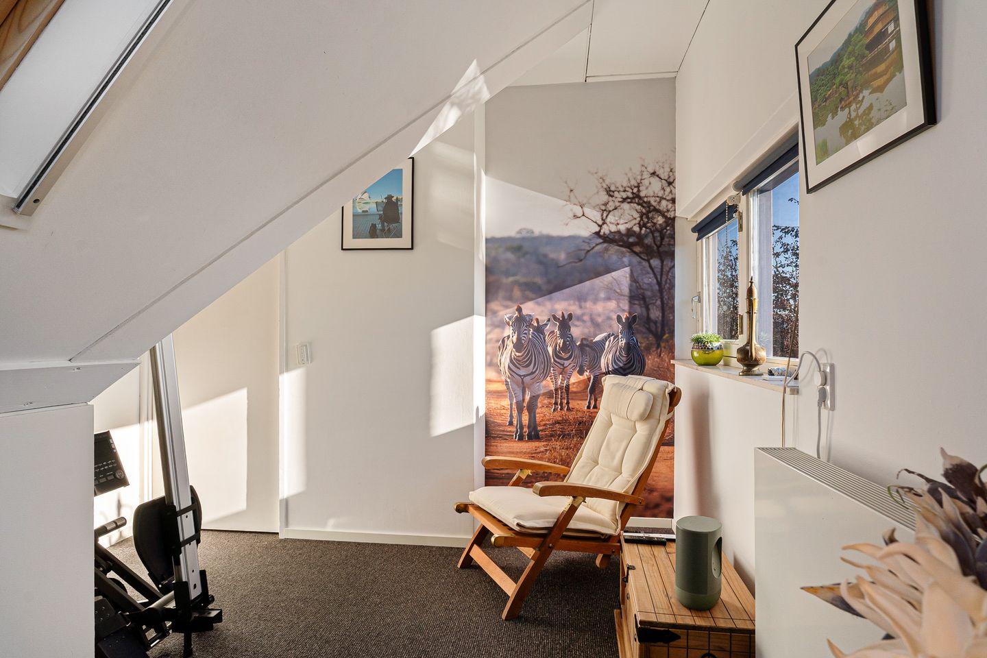 Foto 44 van Wollegras 40