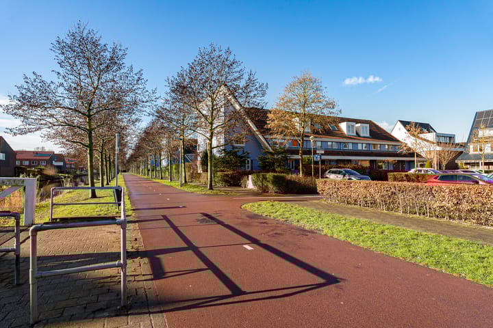 Photo 54 of Wollegras 40