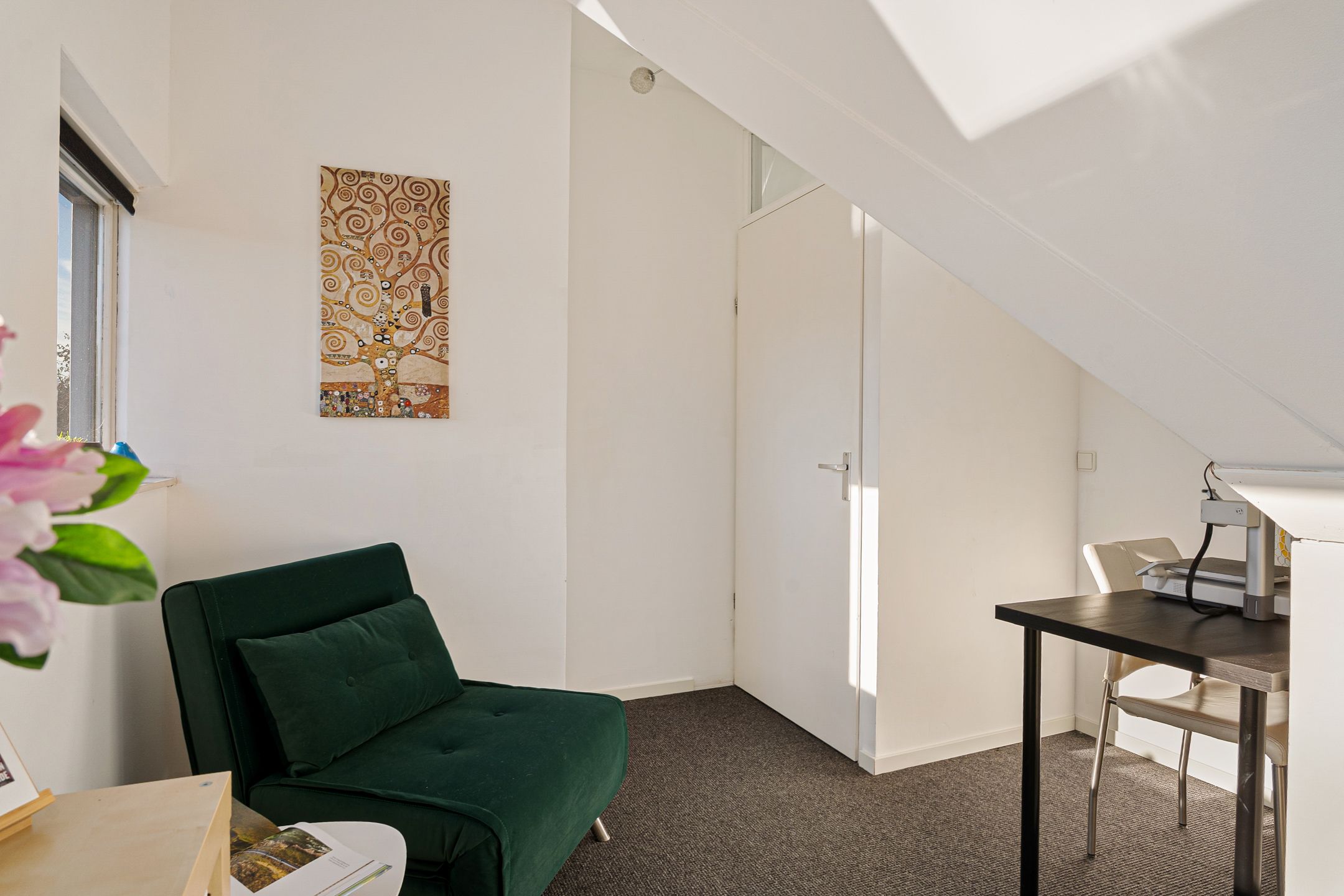 Foto 51 van Wollegras 40