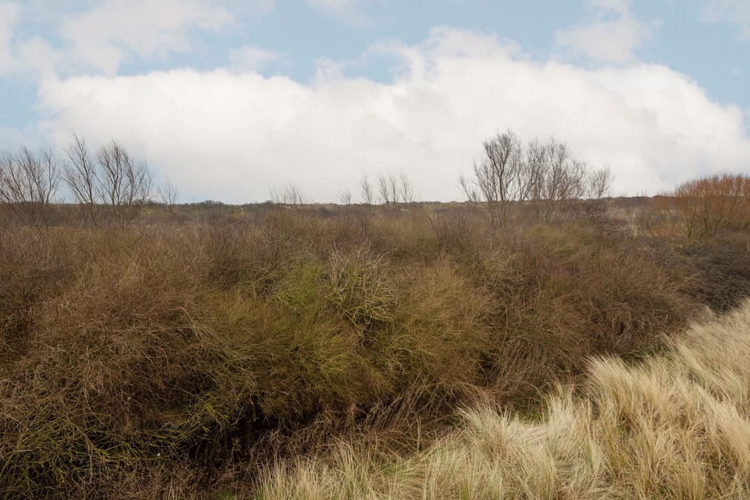 Photo 2 of de Duinen 524