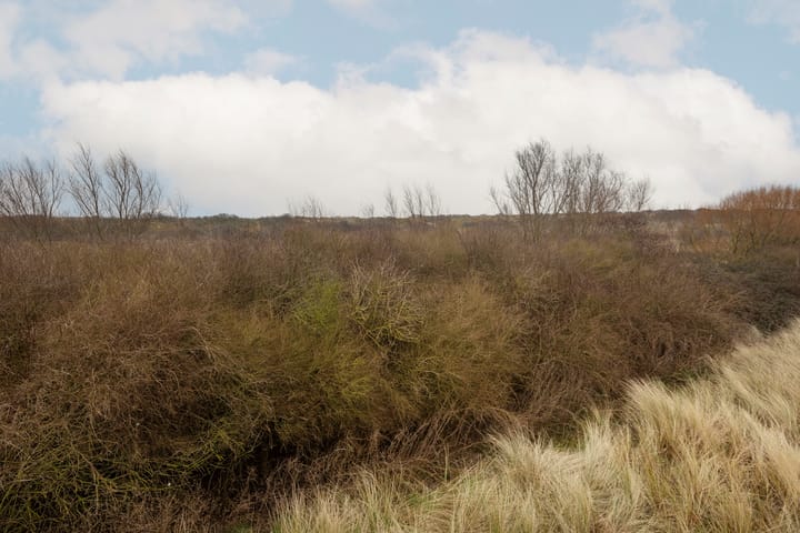 Photo 2 of de Duinen 524