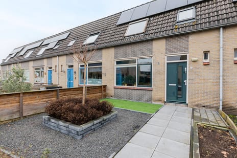 undefined main image