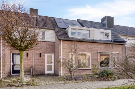 undefined main image