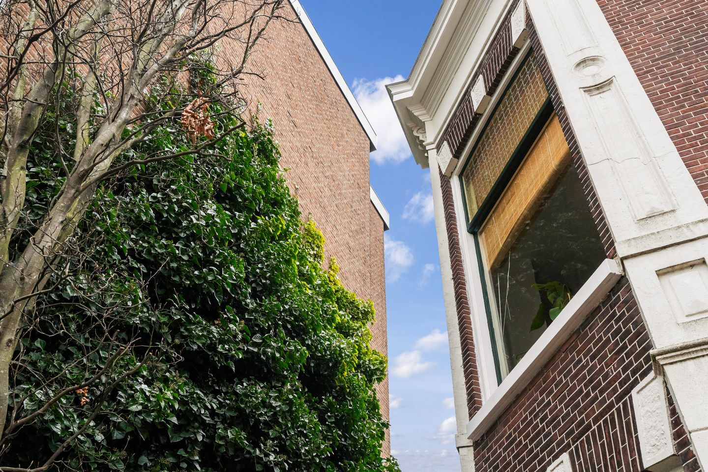 Foto 10 van Rijnsburgersingel 42