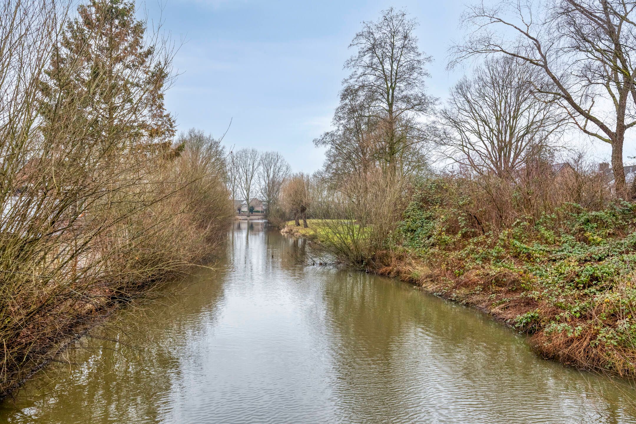 Foto 39 van Fransebaan 99