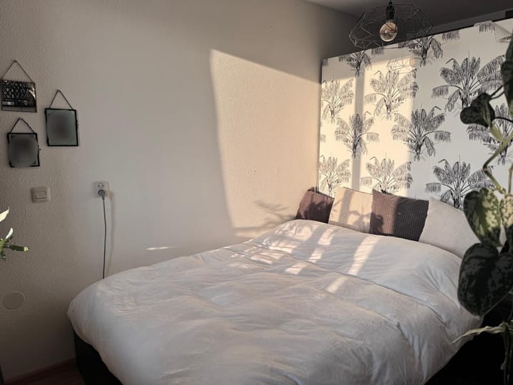 Photo 24 of Blauwedijk 53