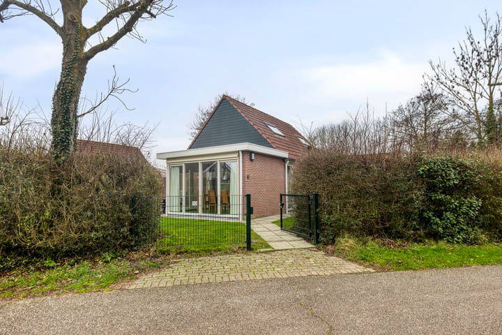 Photo 9 of Springvloed 10