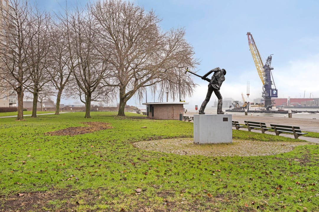 Foto 23 van Maasboulevard 173