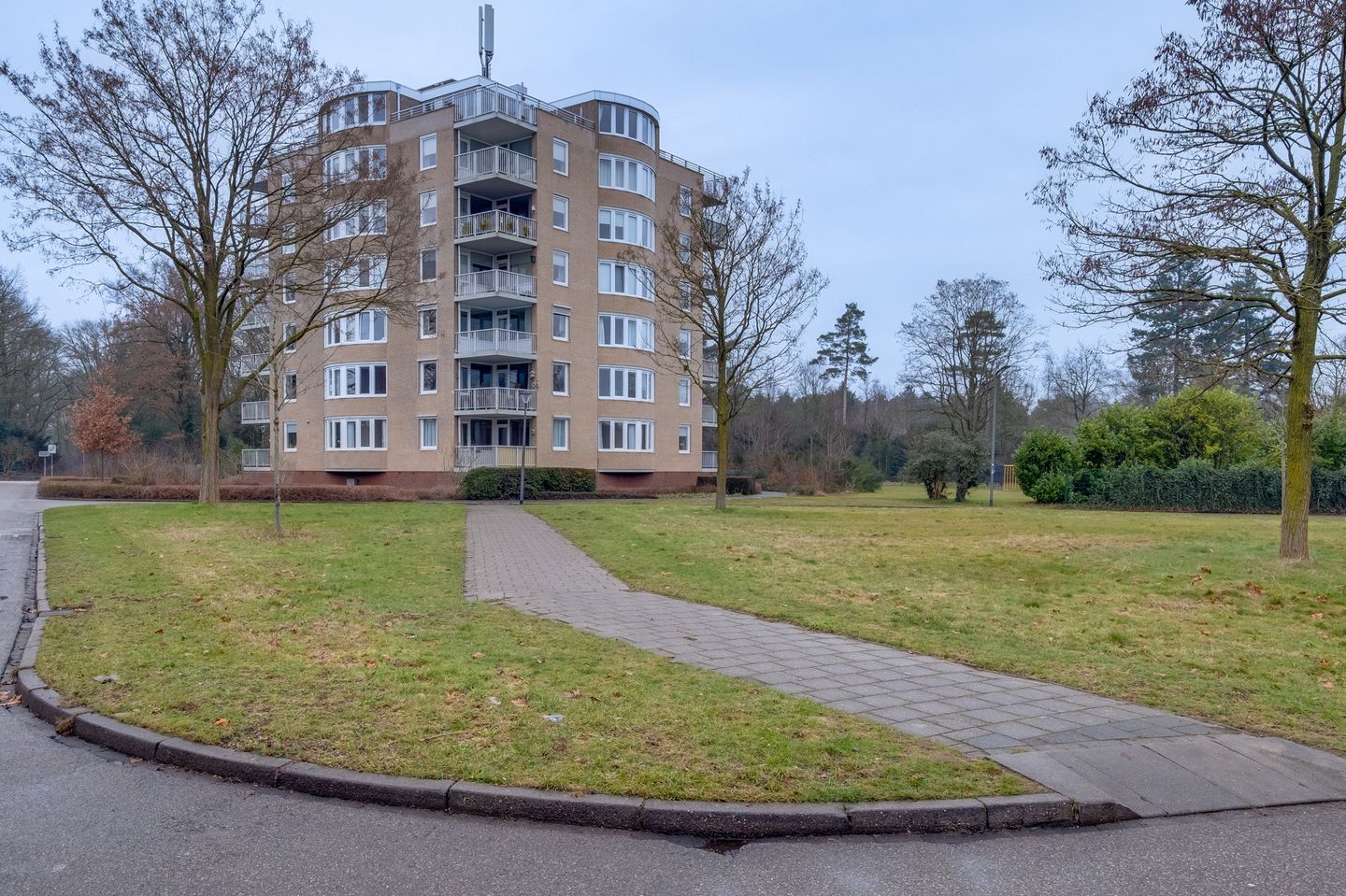 Foto 1 van Vogelplantsoen 224