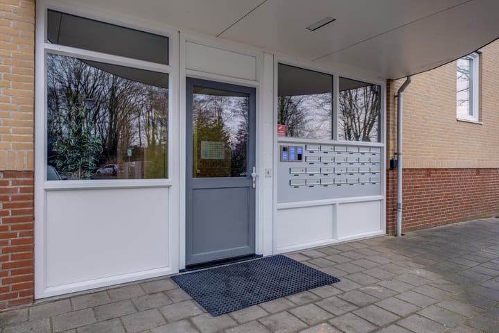 Foto 4 van Vogelplantsoen 224