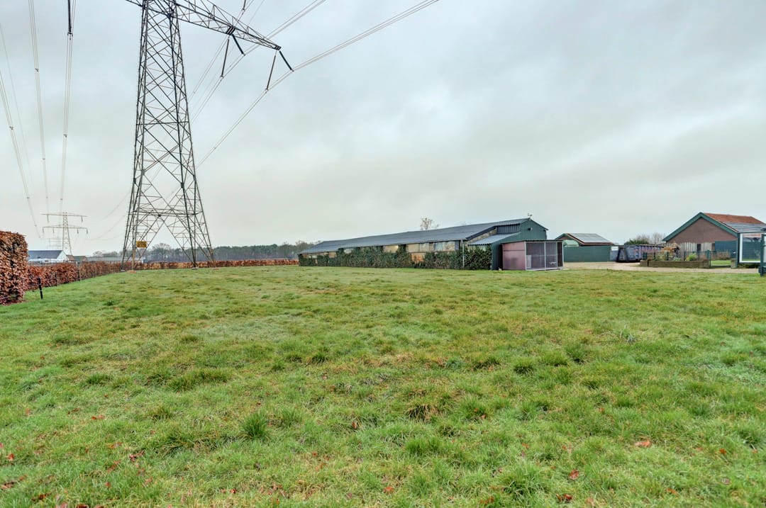 Foto 73 van Groeze 8-A