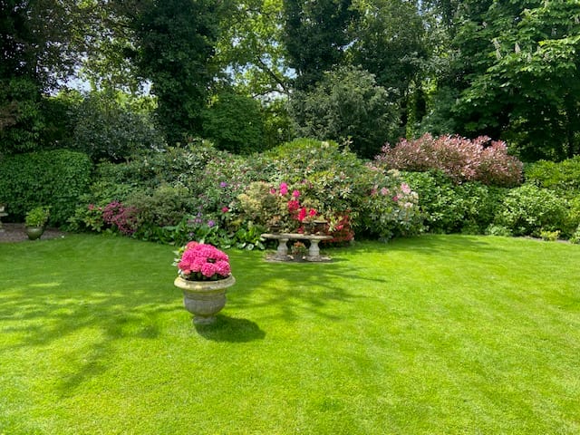 Foto 15 van Oranjelaan 41