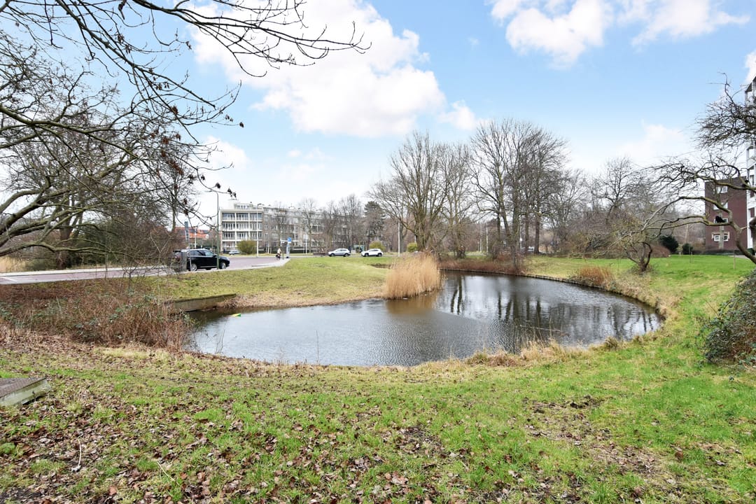 Photo 38 of Stokroosstraat 305