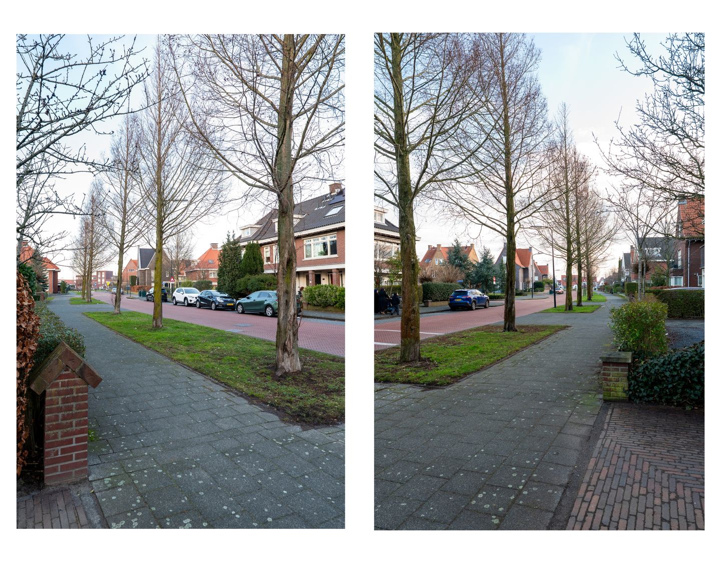 Foto 70 van Zevenwoudenlaan 56