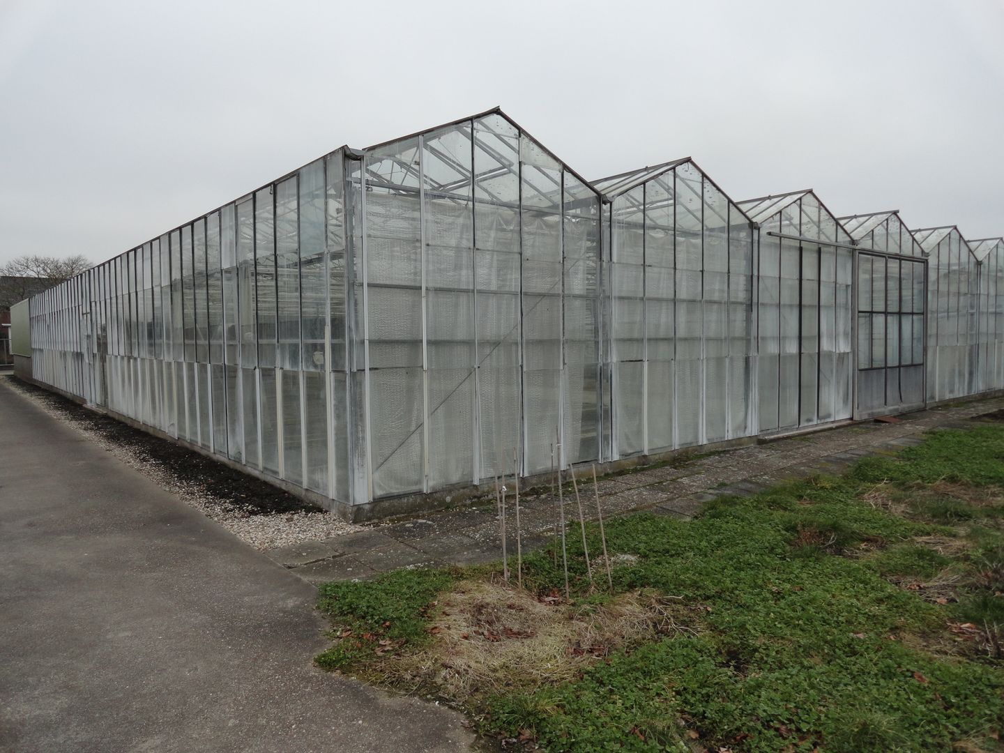 Photo 14 of Rijneveld 75