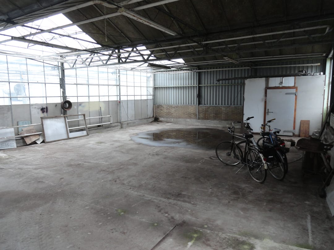 Photo 17 of Rijneveld 75