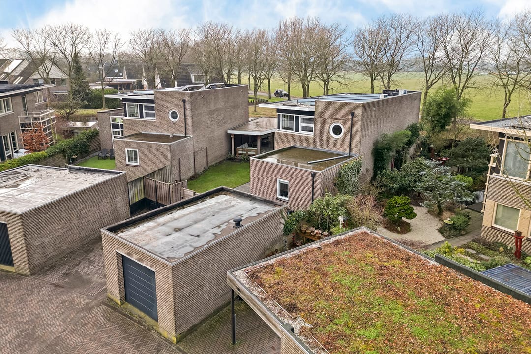 Foto 8 van Bovenkruier 7