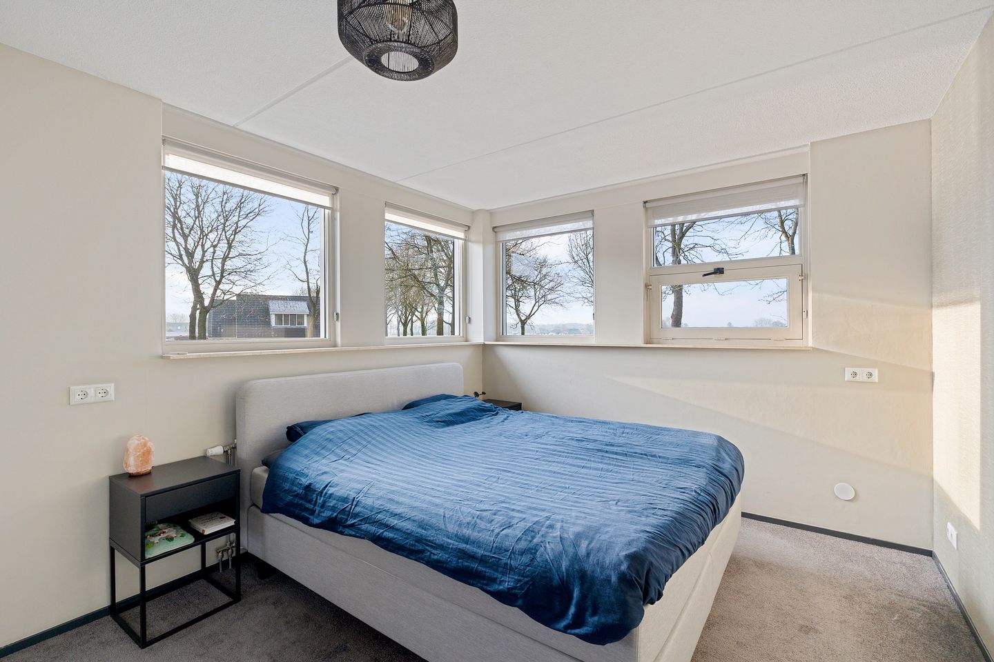 Foto 29 van Bovenkruier 7