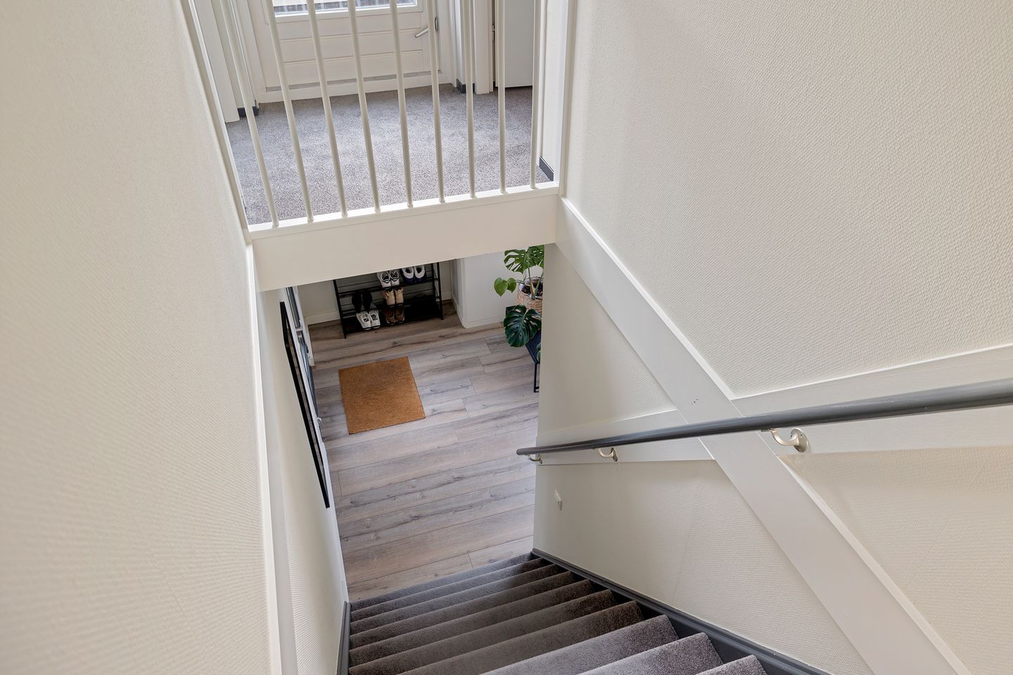 Foto 34 van Bovenkruier 7