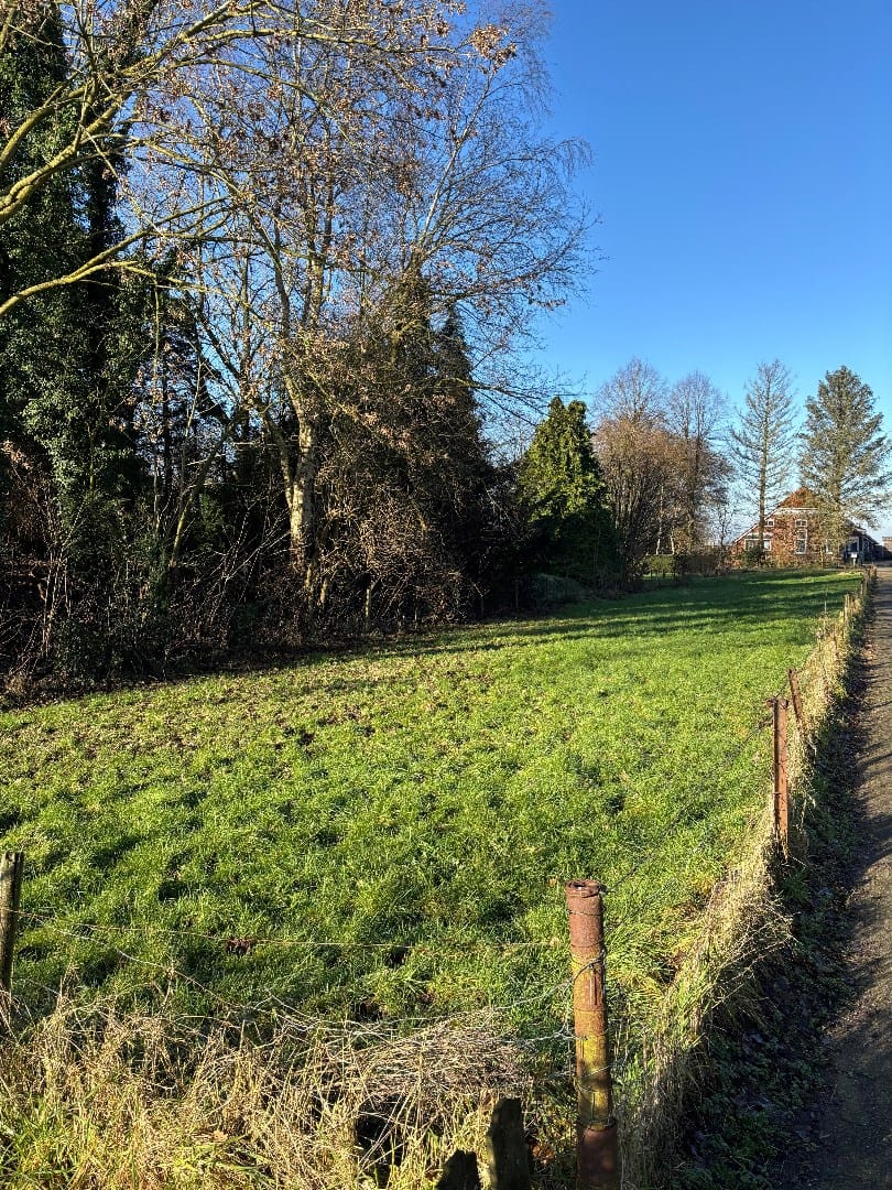 Foto 10 van Noordercolonie 34-ONG